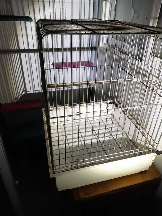 Gaiola papagaio - usada