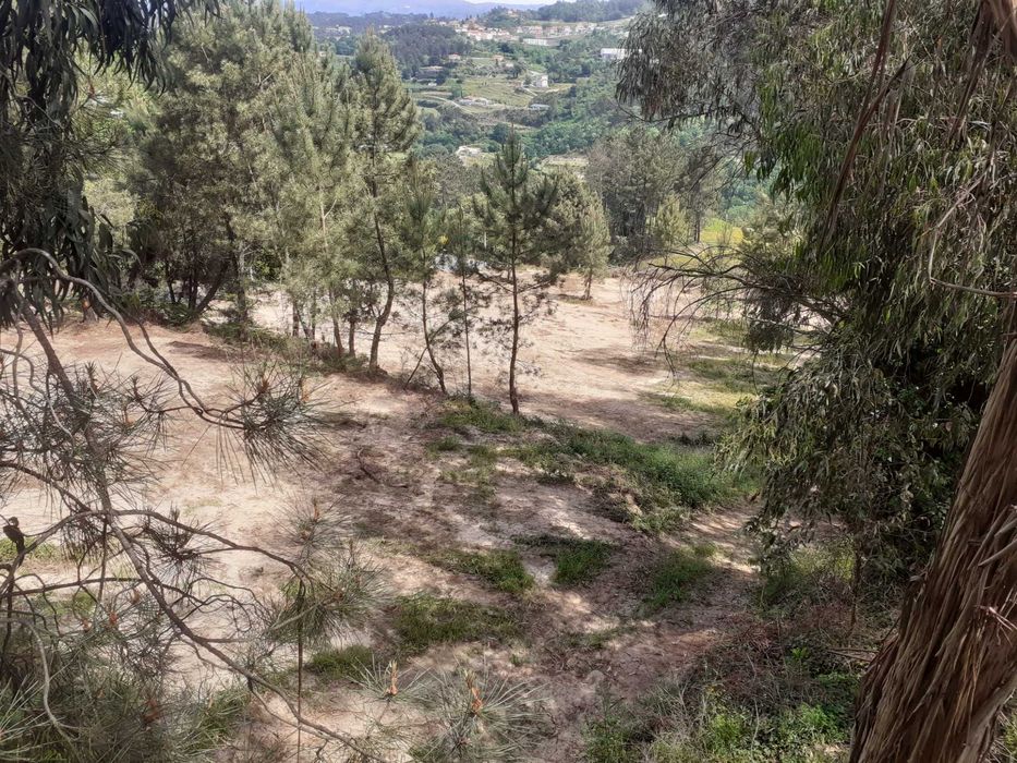 Terreno Amarante arrendar