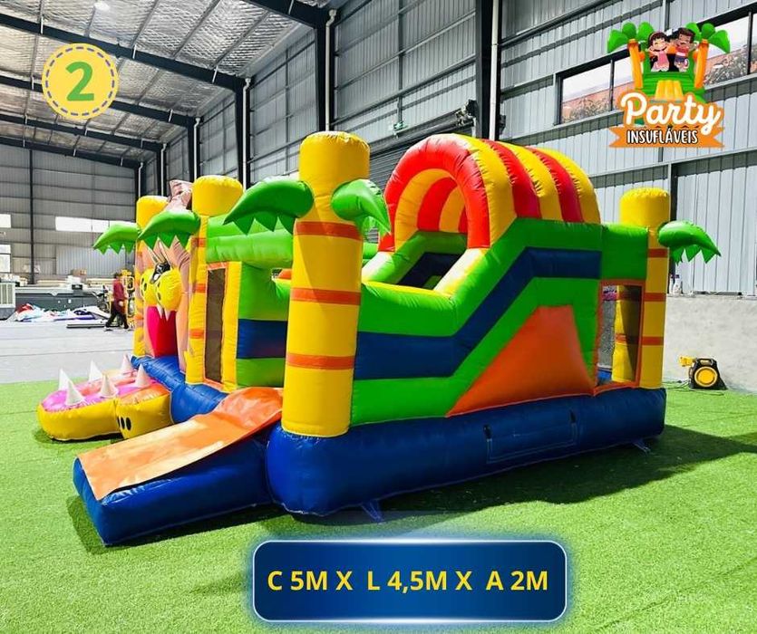 Aluguer de Insuflável Profissional / LEÃO