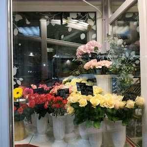 Холодильна квіткова вітрина +3 +7 °C (Хмельницький, Нетішин, Полонне)