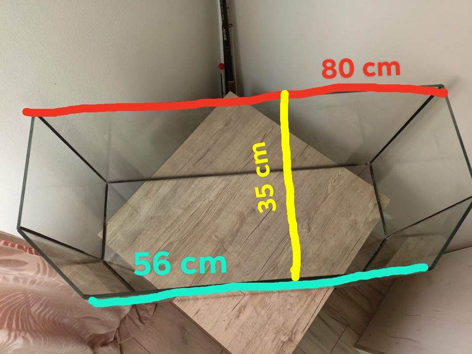 Chomik/terrarium/pozostałości po chomiku