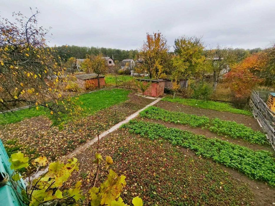 Гарна дача з доглянутою ділянкою 5 соток. Біля Чернігова с.Рижики (SP)
