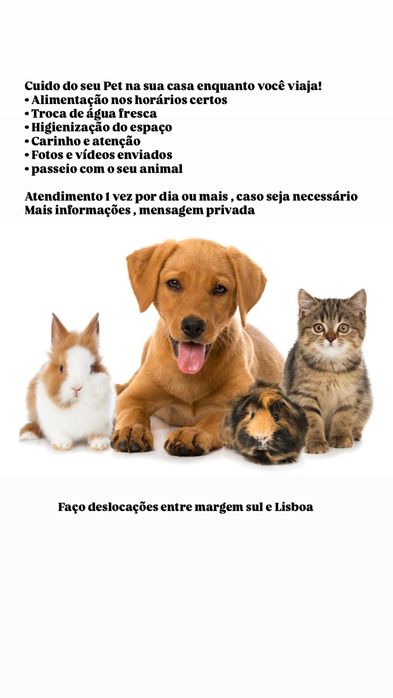 Cuidador de animais