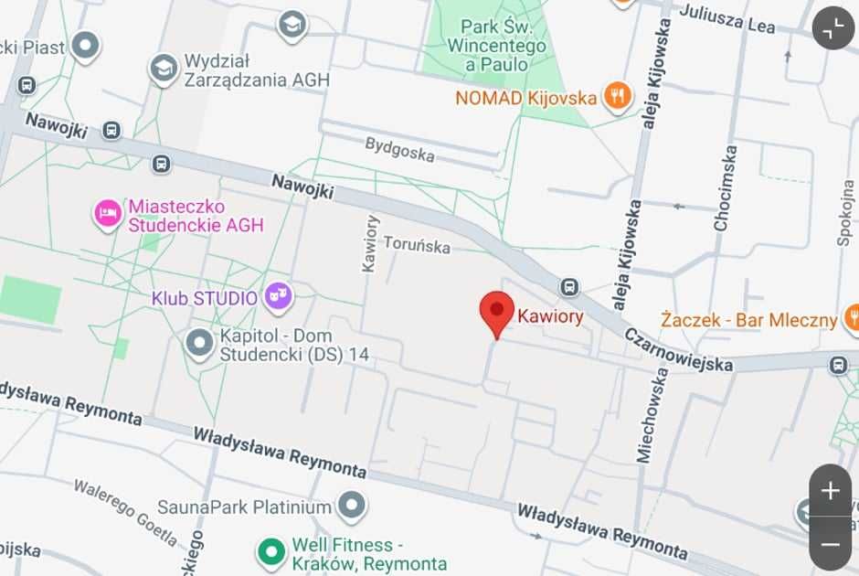 Duży pokój na miasteczku AGH  1-2 os. - Kawiory