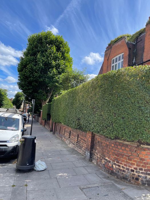 Serviços de Jardinagem - Manutenção de Jardins