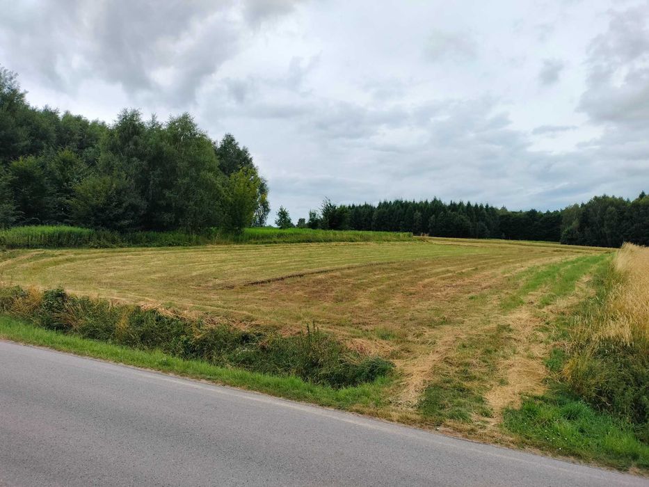 Działka rolna z możliwością zabudowy Niewodna