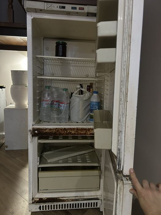 Холодильник Snaige