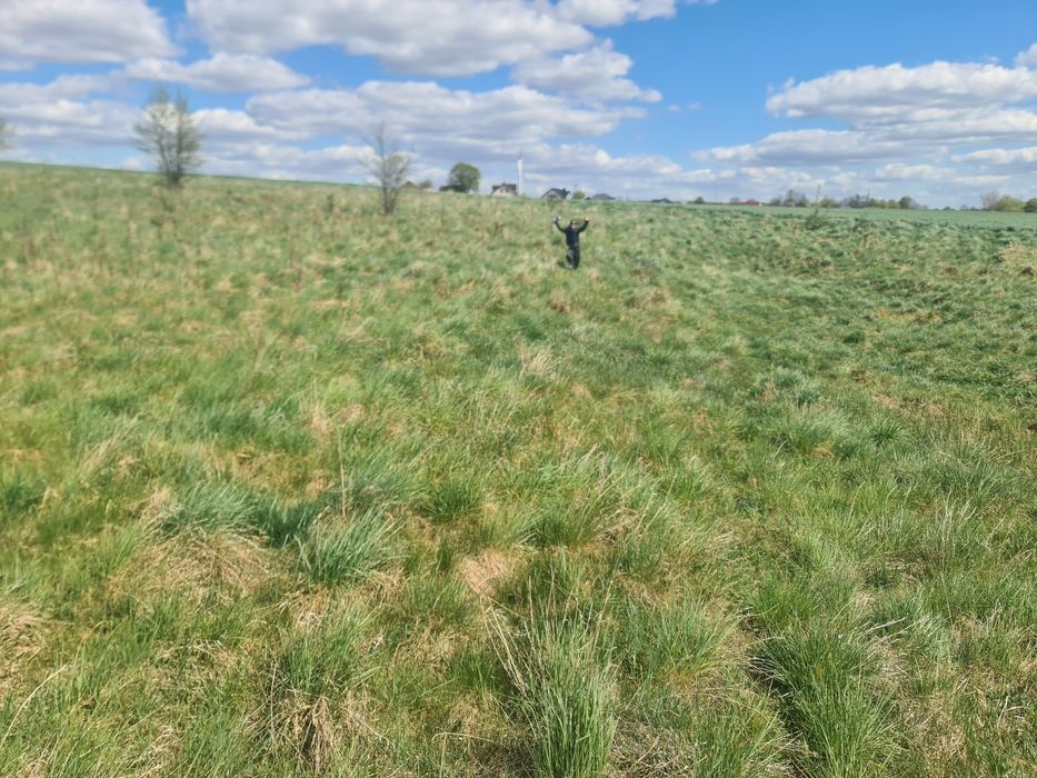 Działka Łąka 4628m2 barany 1