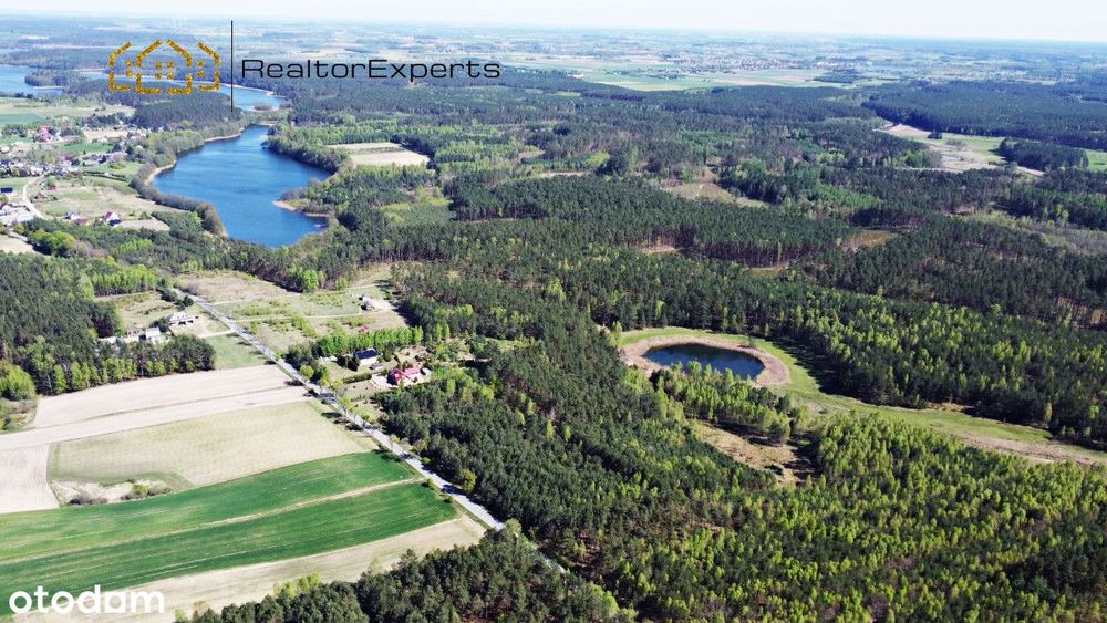 10zł/m2 -  działka z Wz, ze swoim lasem i stawem!