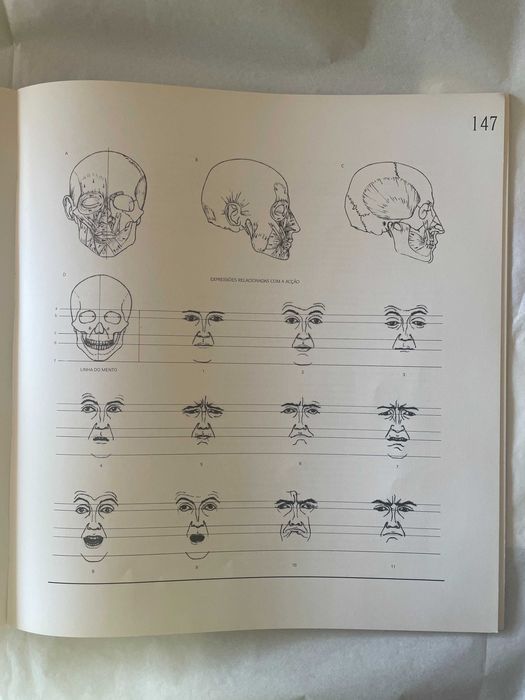 Anatomia Artística: Construção Plástica do Corpo Humano - Eduardo Tavares (Edições ASA)