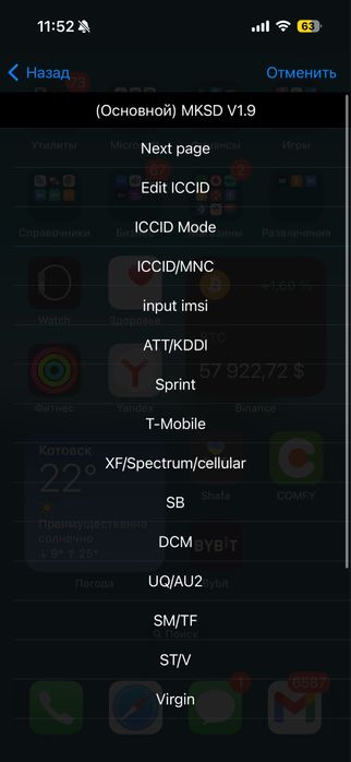 Чип 2025 года, GOLD v1.9 разблокировка iPhone рсим для айфона