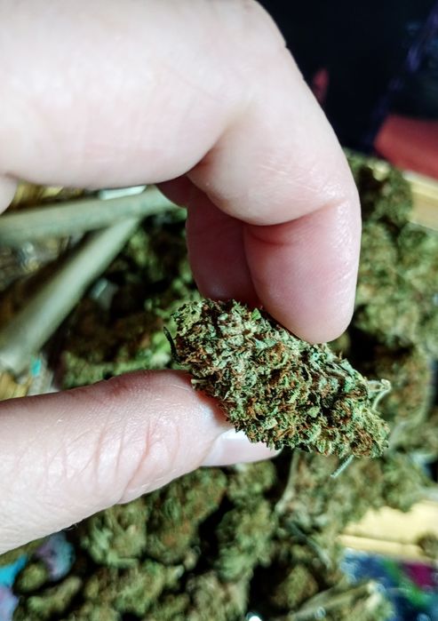 3g ROYAL SKYWALKER Susz Roślinny cbt cbl cbc Lot w kosmos! Działa !