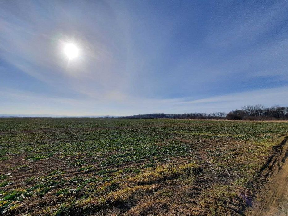 Продаж земельної ділянки село Дуліби