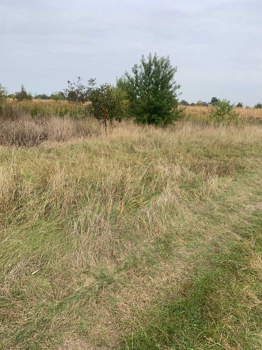 Działka Kozery Grodzisk Maz.