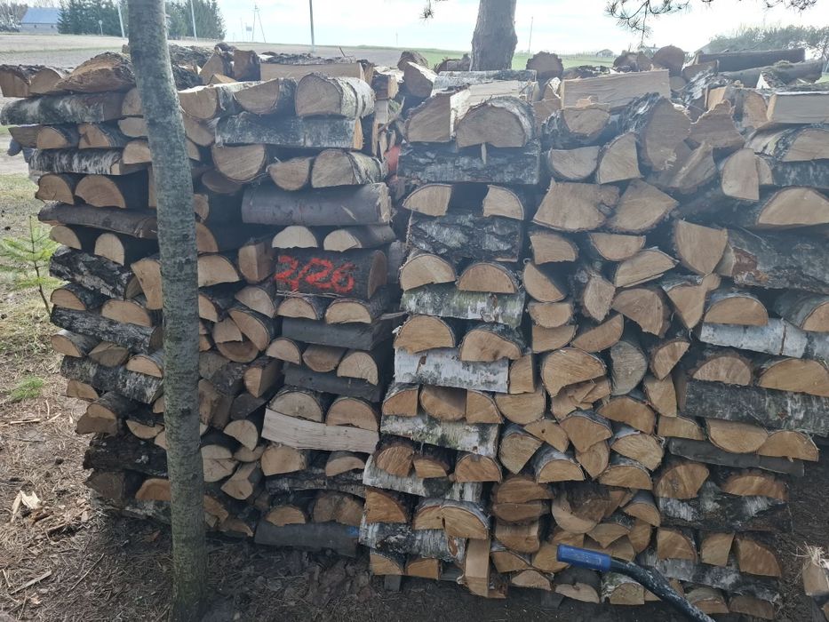 Buk dąb liściaste mieszane sezonowane suche