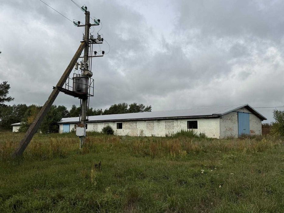 поропонуємо склад в оренду