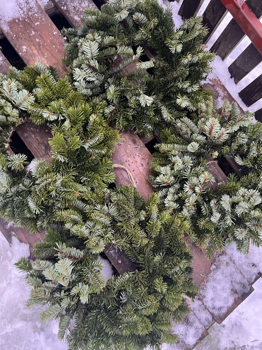 Zywe wianki swierk jodla tuja