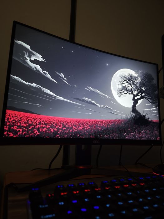 Monitor Gamingowy AOC