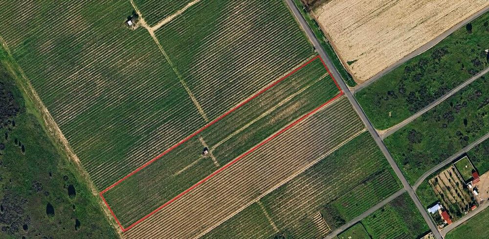 Terreno com 15.000 m² | Viabilidade de Construção Confirmada | Algeruz – Palmela