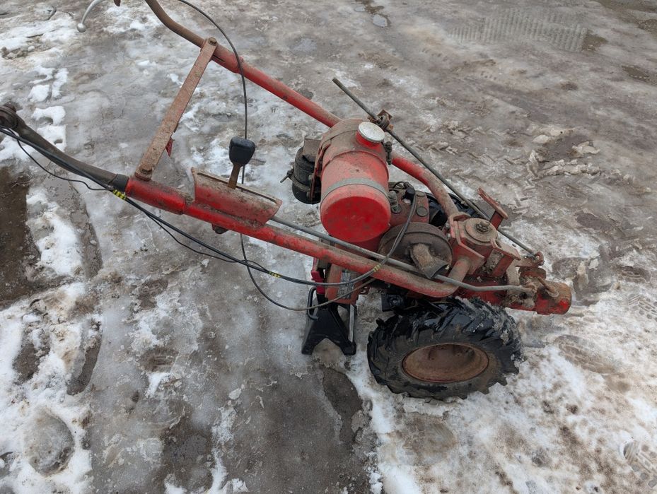 Ciągniczek Ogrodniczy MF70 Dzik Terra Vari Gutbrod