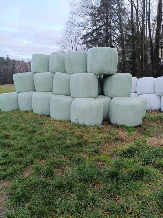 Słoma siano sianokiszonka