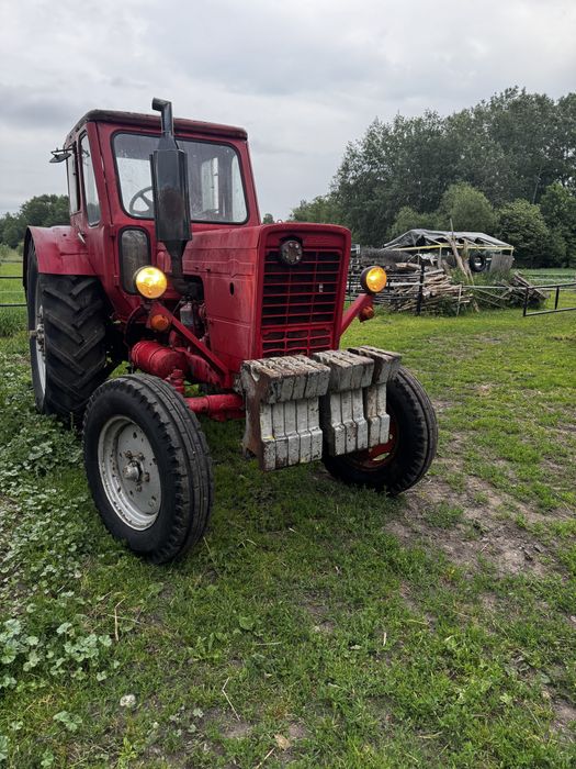 Mtz jumz belarus