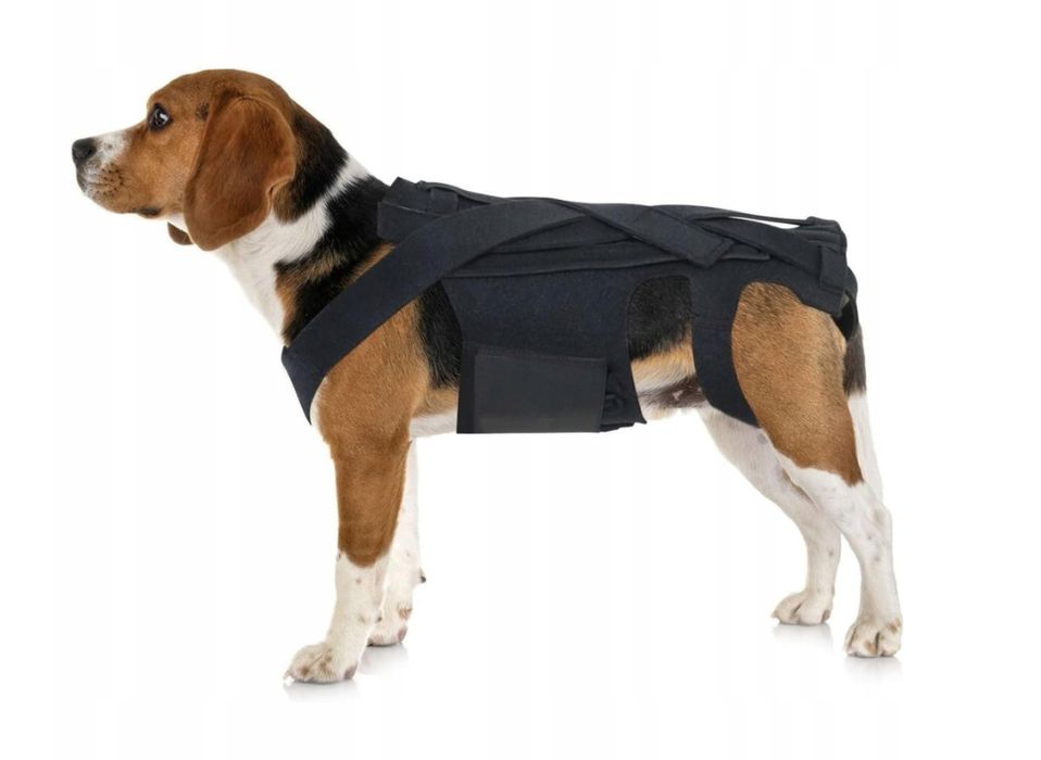 Pas Ortopedyczny Dla Psów Wsparcie Kręgosłupa Ehabilitacja Rozmiar: M