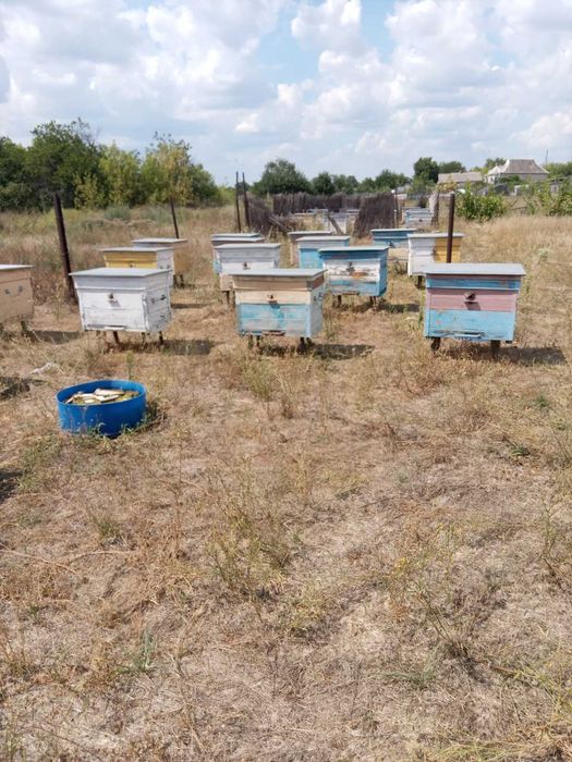 Продам вулики + інвентар
