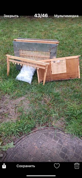 Nikot для виведення маток Франція