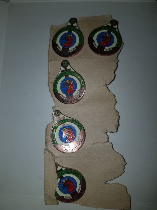 Odznaka PTTK znam Szczecin.
