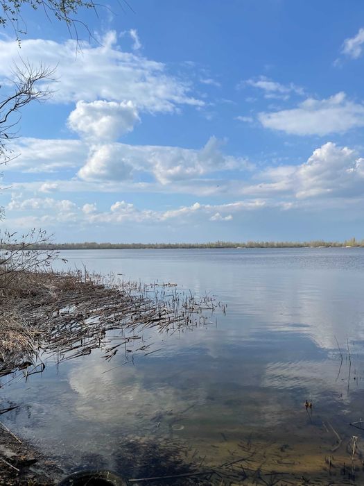 Ексклюзивні ділянки на березі Десенки (затока Доманя) — Деснянський р-н. Троєщина