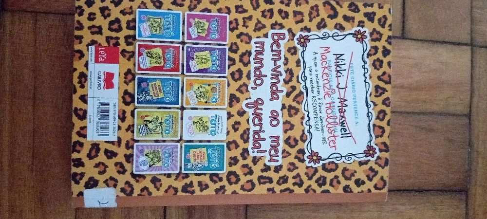 Diário de uma totó