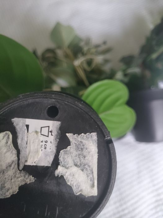 Lote de plantas artificial de  IKEA Fejka