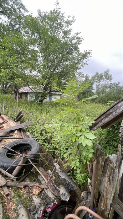 Продається деревяний будинок