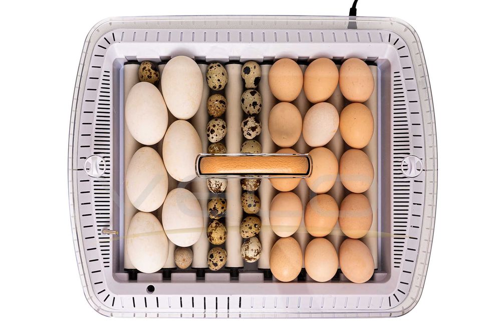 INKUBATOR AUTOMATYCZNY VELO na 35 JAJA do JAJ Indyczych Gęsich Kaczych