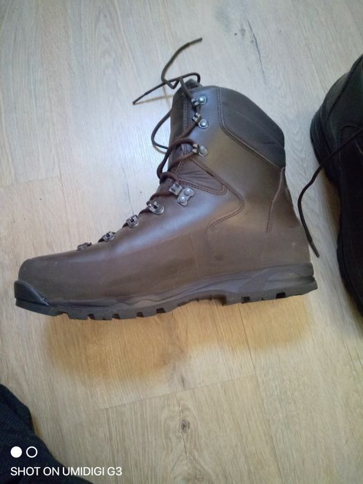 Продам Британські берци