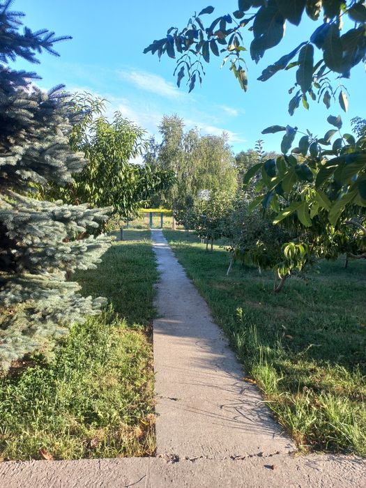 Продам будинок у Воронькові