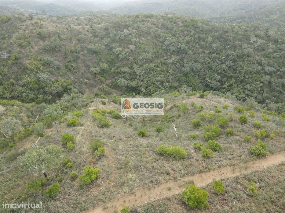 Rustic Land for Sale in São Barnabé, Almodôvar
