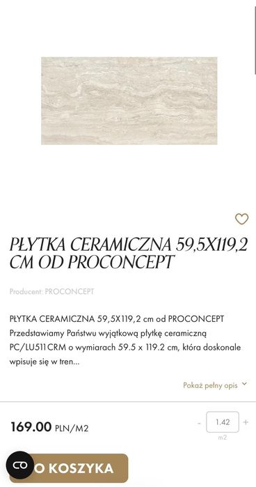 Duża płytka  60x120