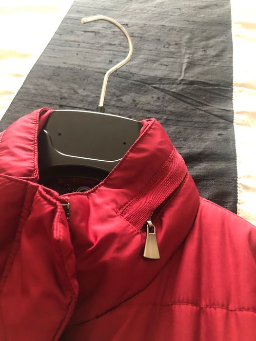 Kispo Lion of Porches! Imperdível