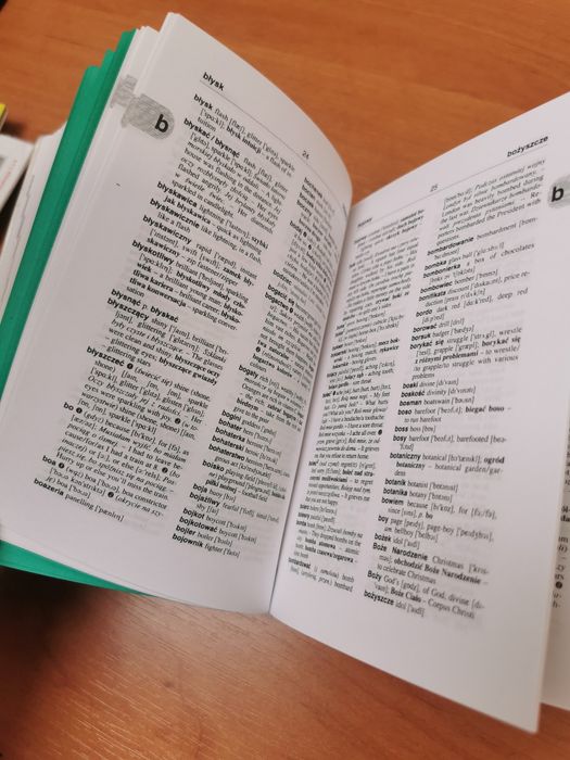 Delta słownik angielsko-polski polsko-angielski