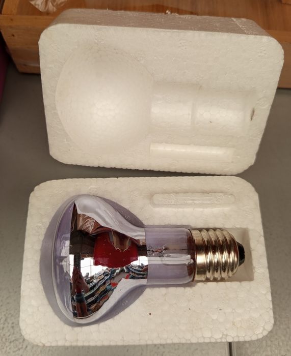 Neodymowe lampa do terrarium