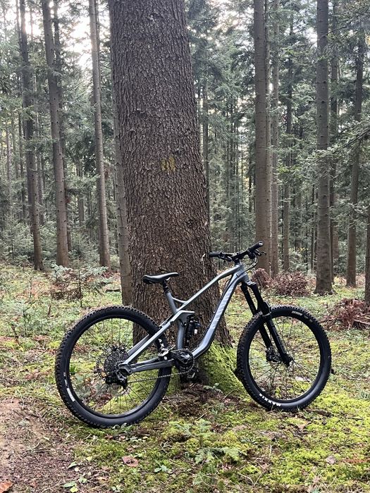 Canyon strive al 6.0 custom