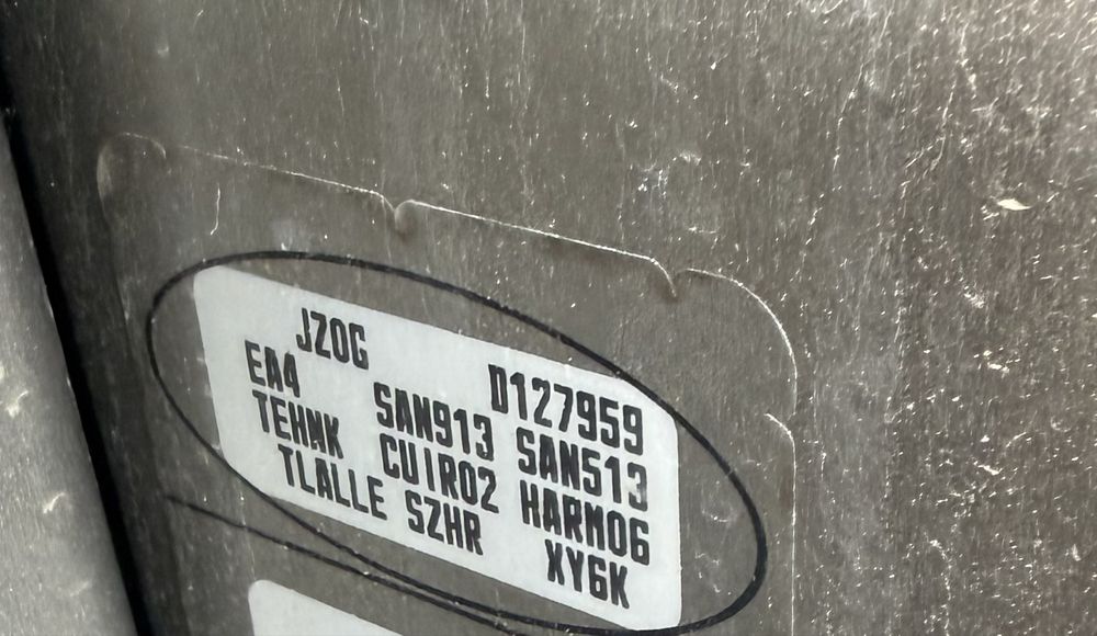 Двері Renault Scenic 3 TEHNK , сценік 3