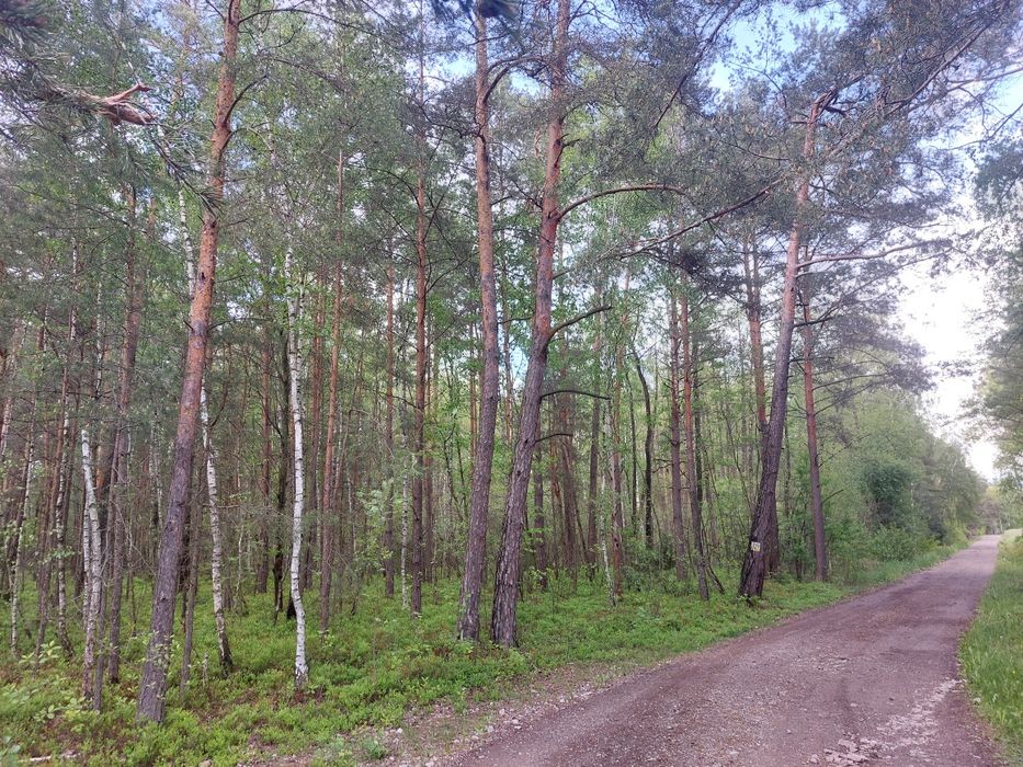 Działka leśna i rolna 4,29ha