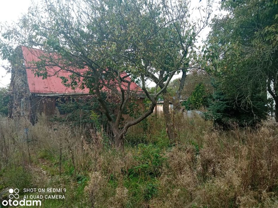 Działka budowlana z MPZP w atrakcyjnej cenie, ZŁOTNO Huta Jagodnica - Widok 6