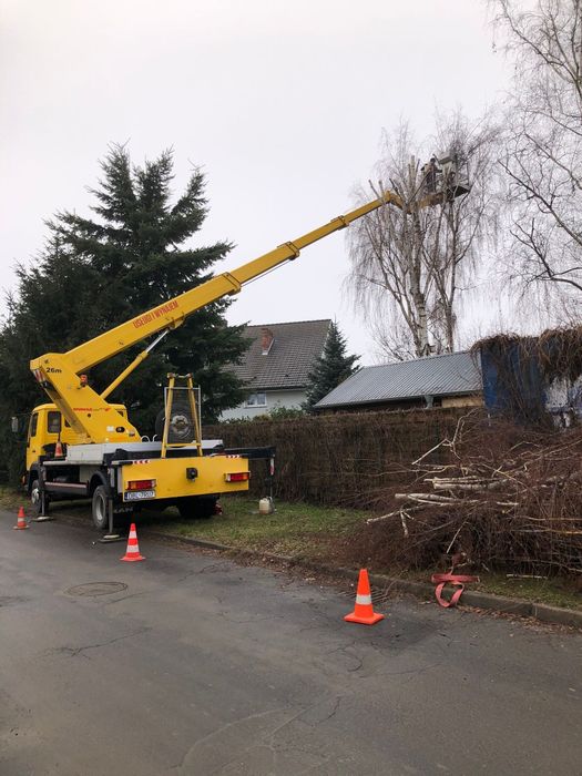 Usługi podnośnikiem koszowym 26m