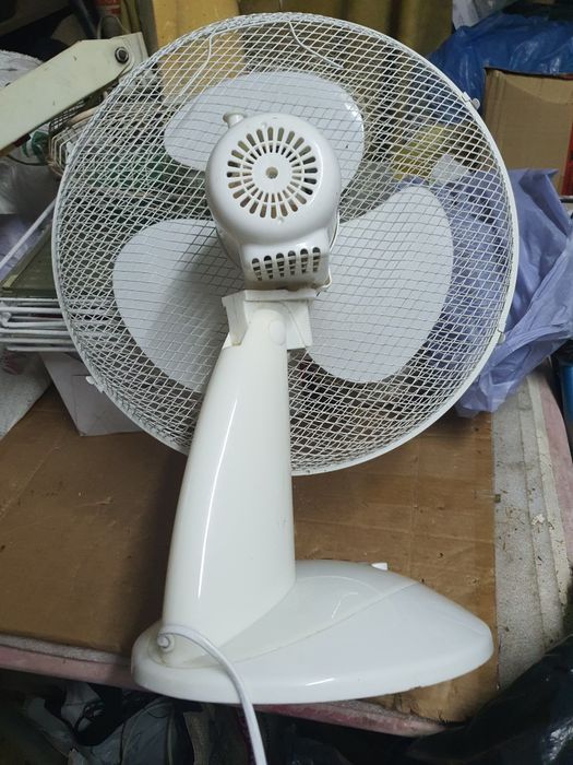 Quando o calor aperta, o fresquinho sabe bem