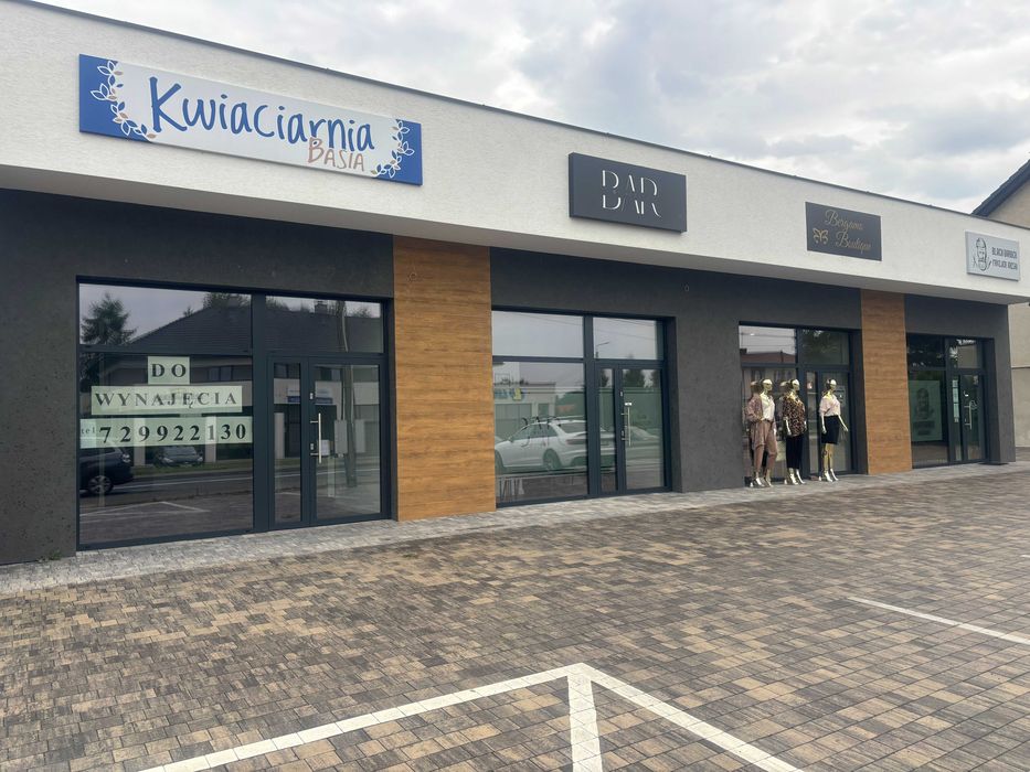 Budowa domów, lokali, usługi budowlane, wolne terminy!