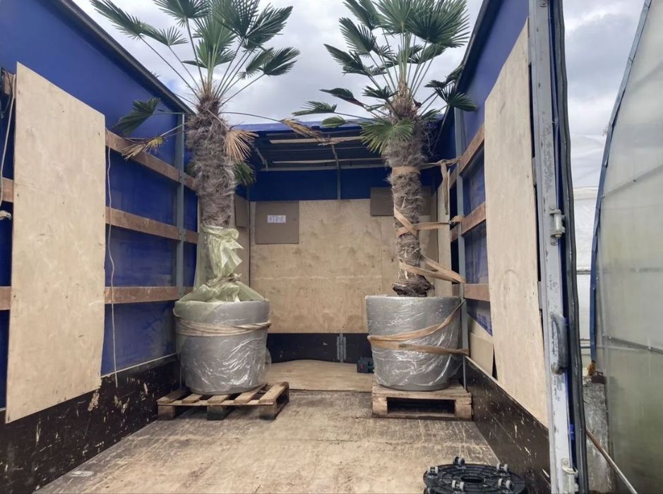 Грузоперевозки , Грузовое такси , Аренда газели , Перевозка мебели